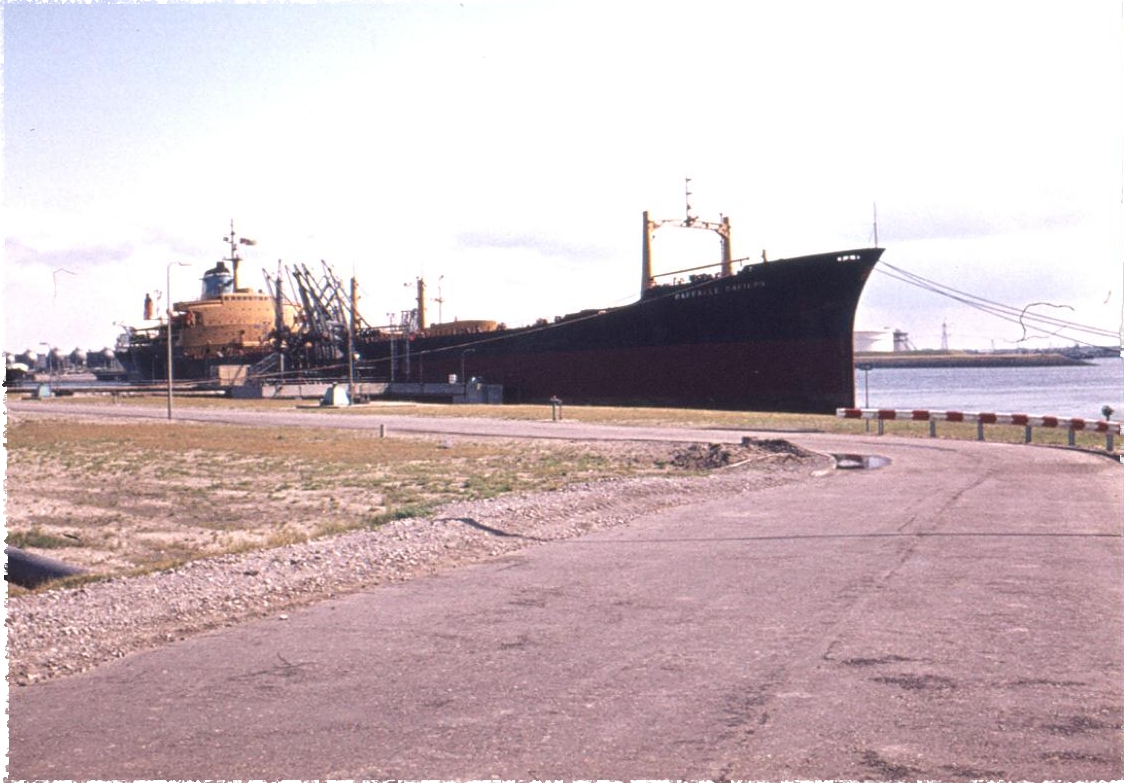 1976 BP Raff Stg 5 Raff. Caf