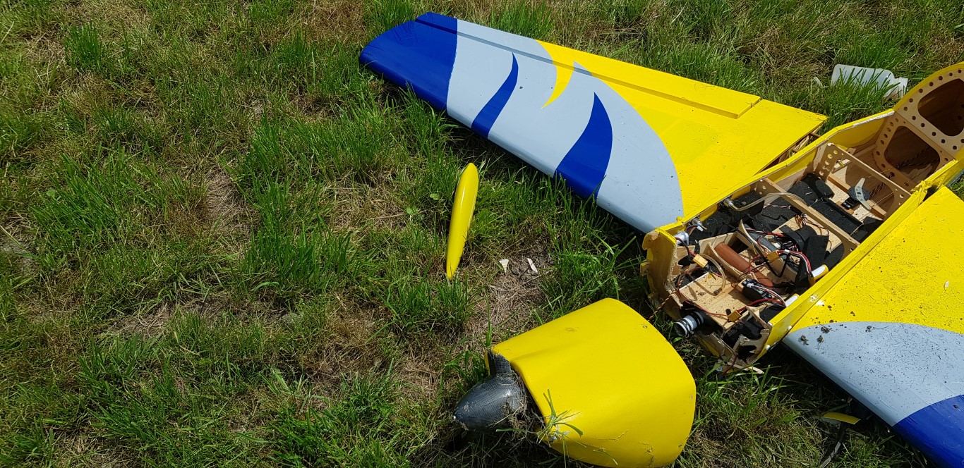 20180728_135504 (Medium)
