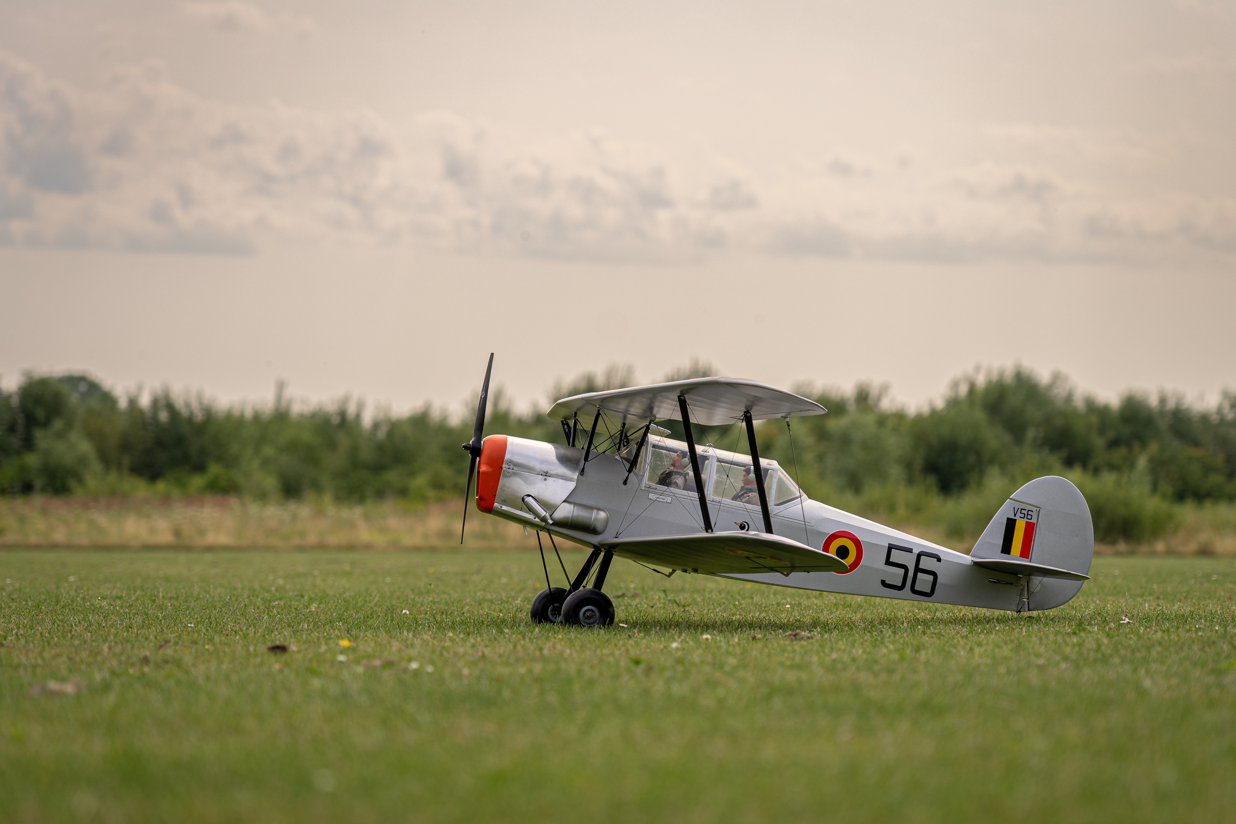 _DSC8017-66