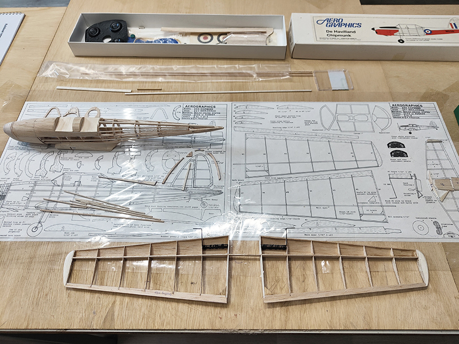 Aerographics_Chipmunk-029