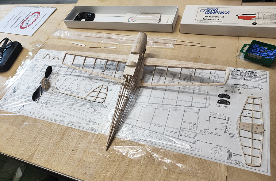 Aerographics_Chipmunk-032