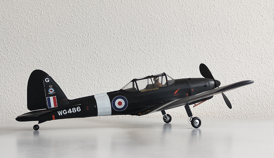 Aerographics_Chipmunk-136