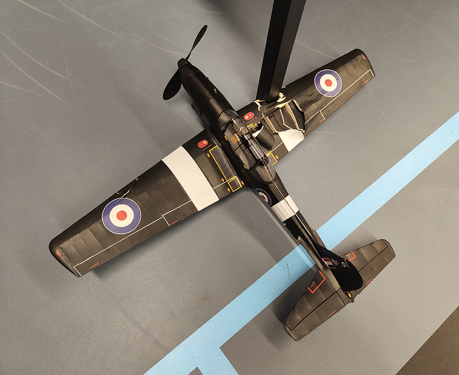 Aerographics_Chipmunk-141
