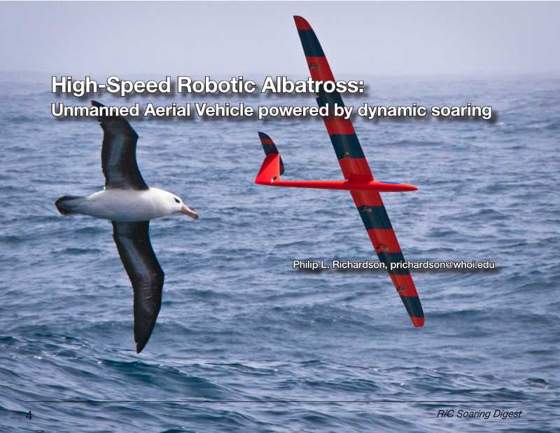 albatros