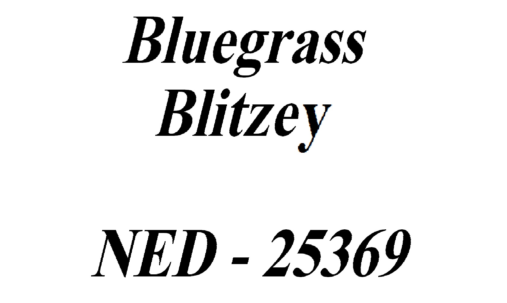 Bluegrass Blitzey Vleugel Tekst 2
