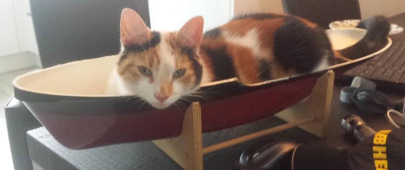 cat aandrijving.