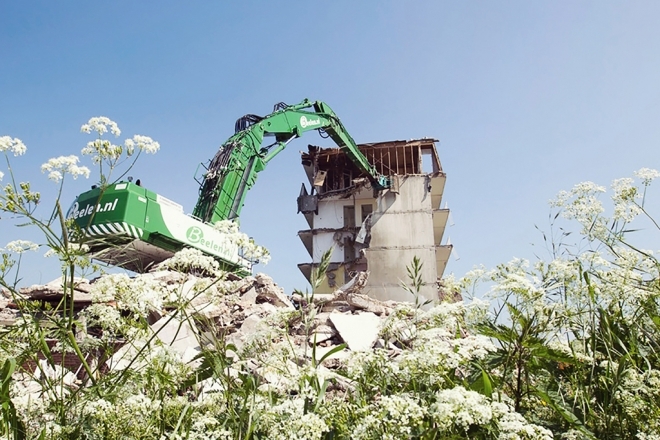 Cat390  Beelen