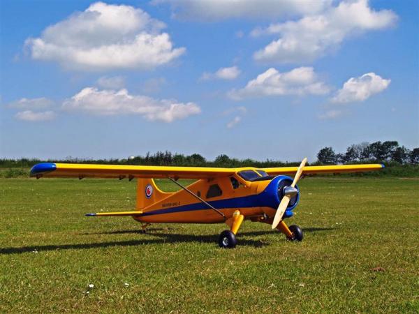DHC 2 Beaver 02 (Medium)