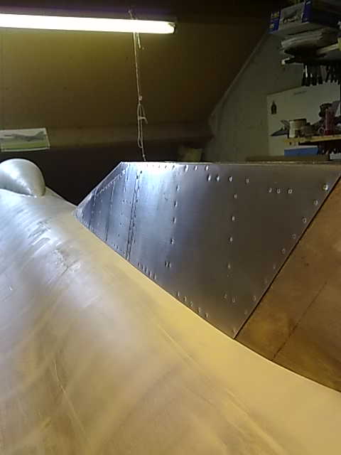 dorsalfin 011