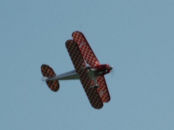 DSC 6291