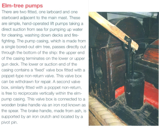 Elm Tree Pump