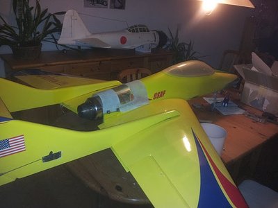 falcon