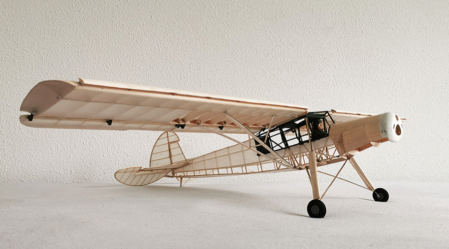 Fieseler_Storch__196