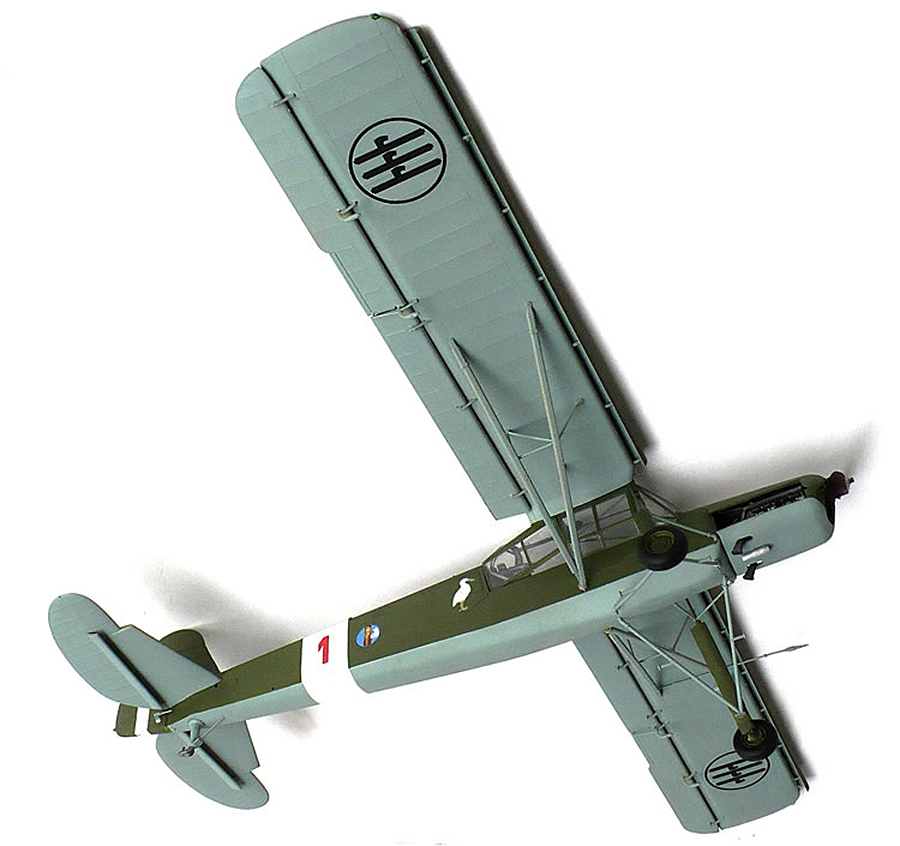 Fieseler_Storch__217