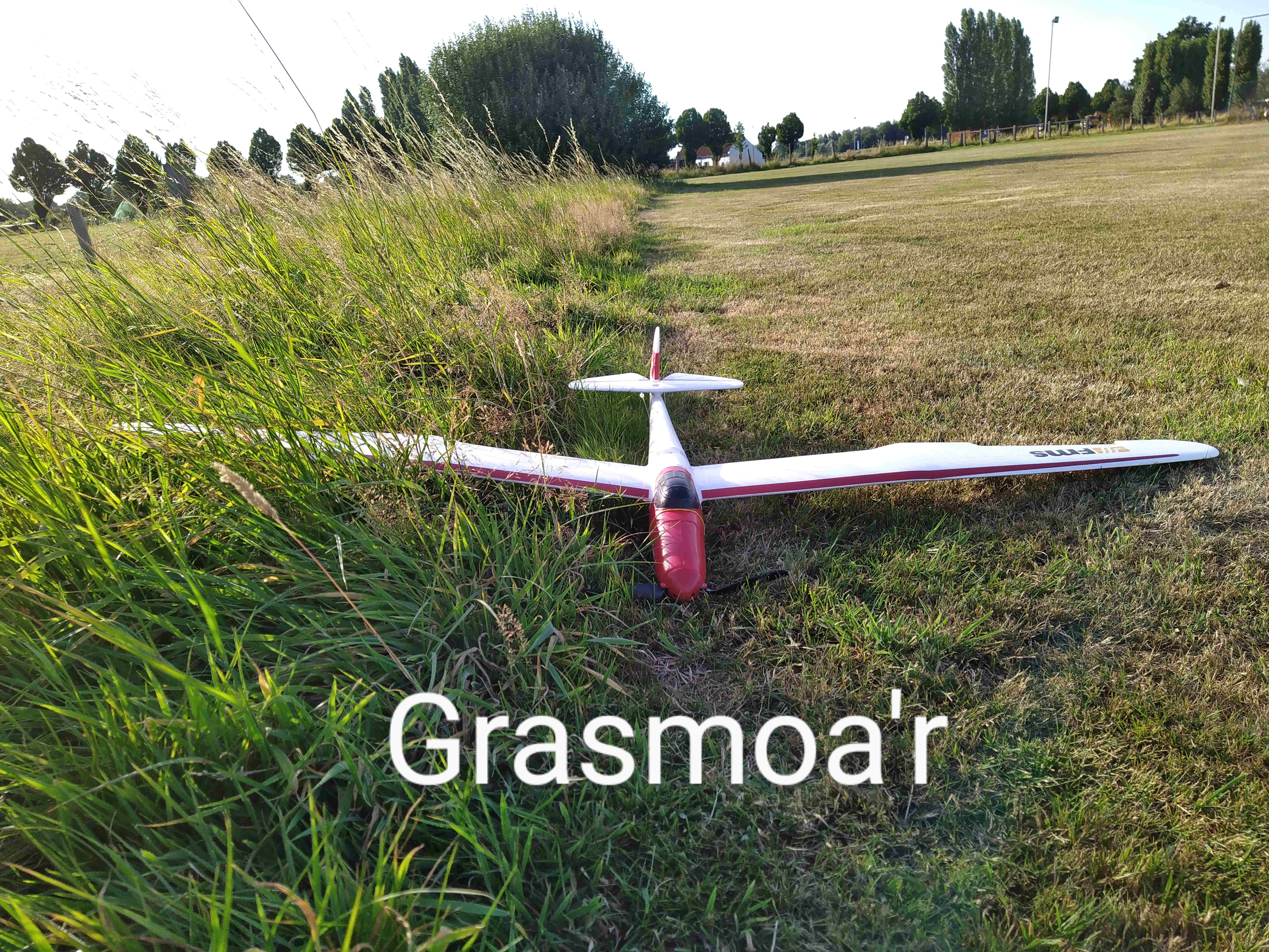 Grassmoar