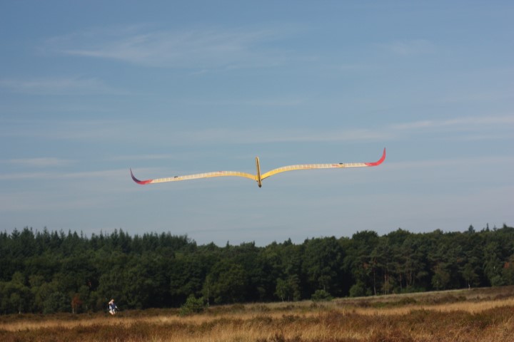 IMG 9172 (Small)