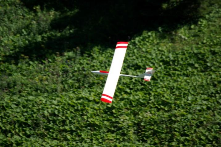 IMGP2986