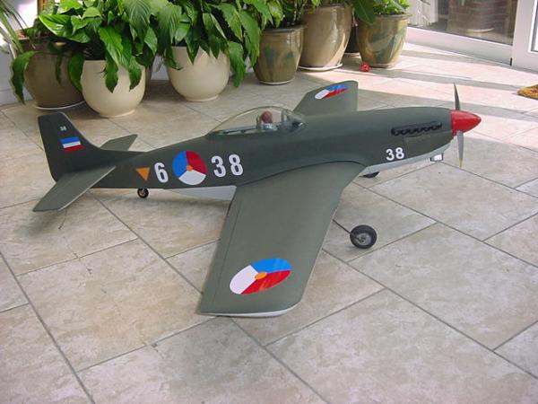 P 51 Mustang 003