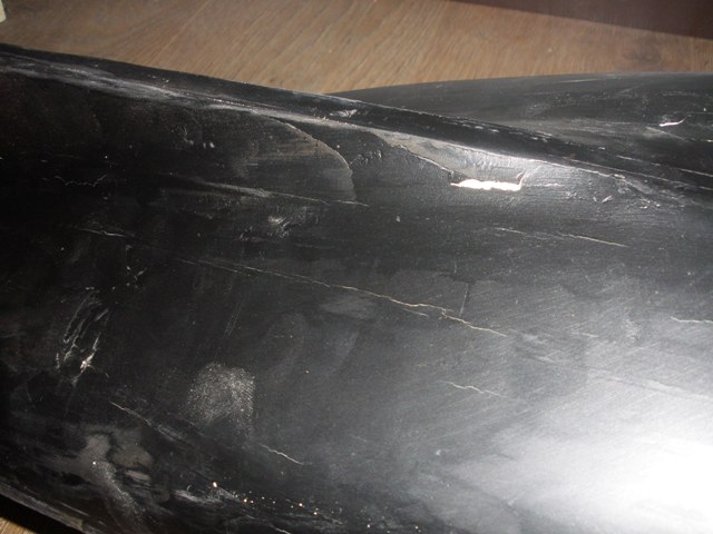 P1010090