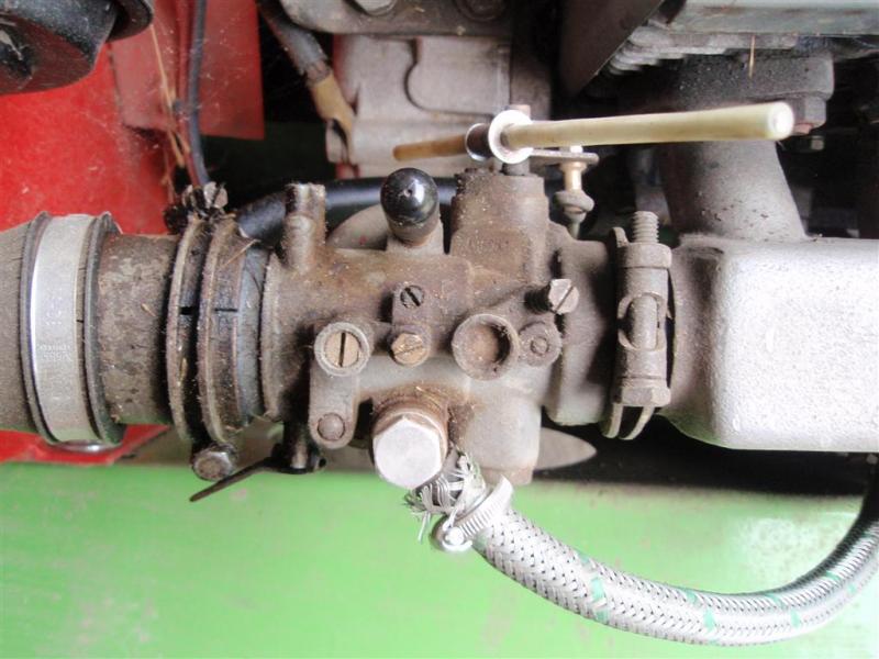 P7060045 (Medium)
