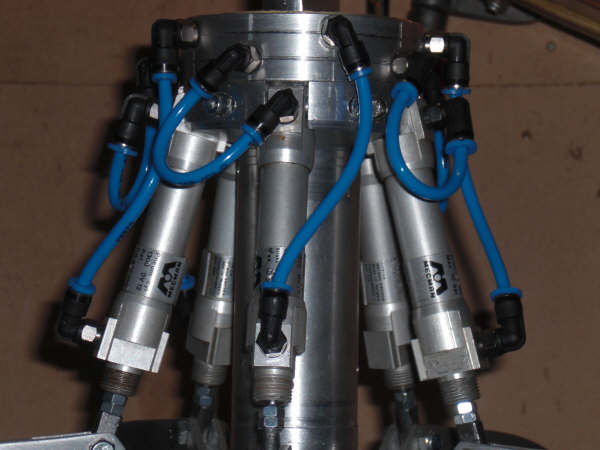 poliepgrijper detail