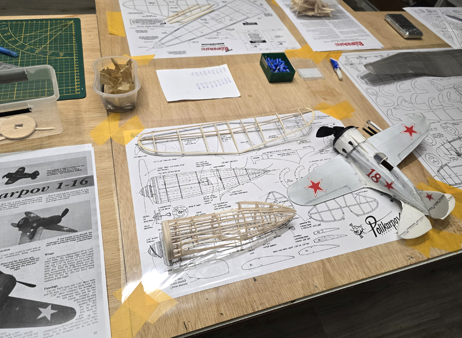 Polikarpov_RATA__013