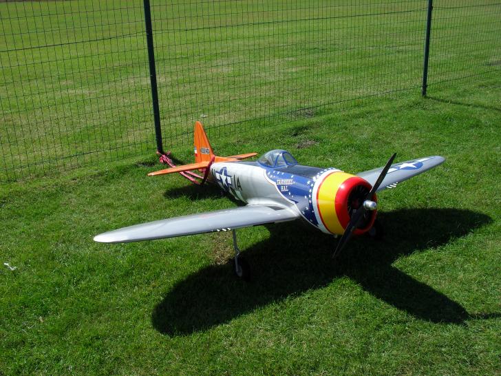 SDC10316