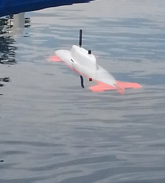 shark (graupner)
