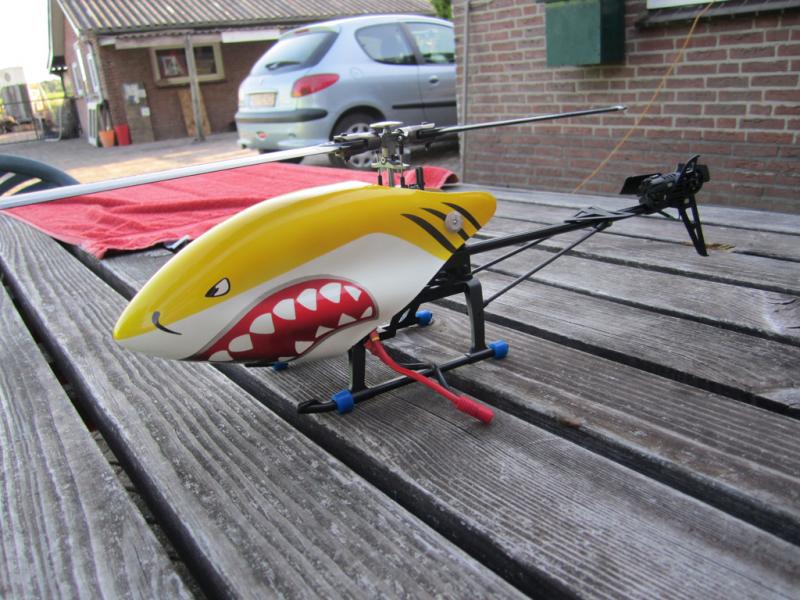 shark4