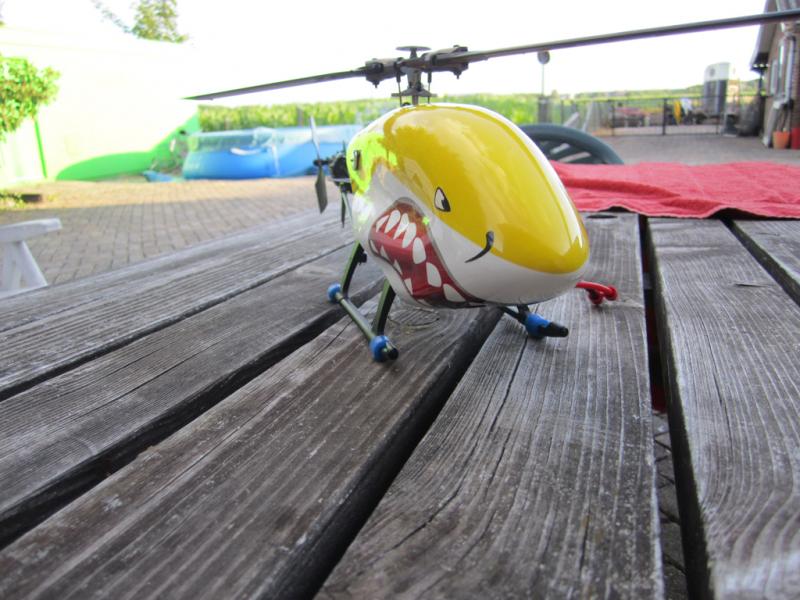 shark5