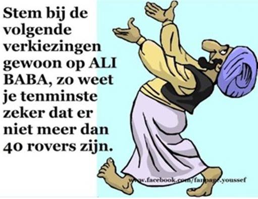 stemadvies