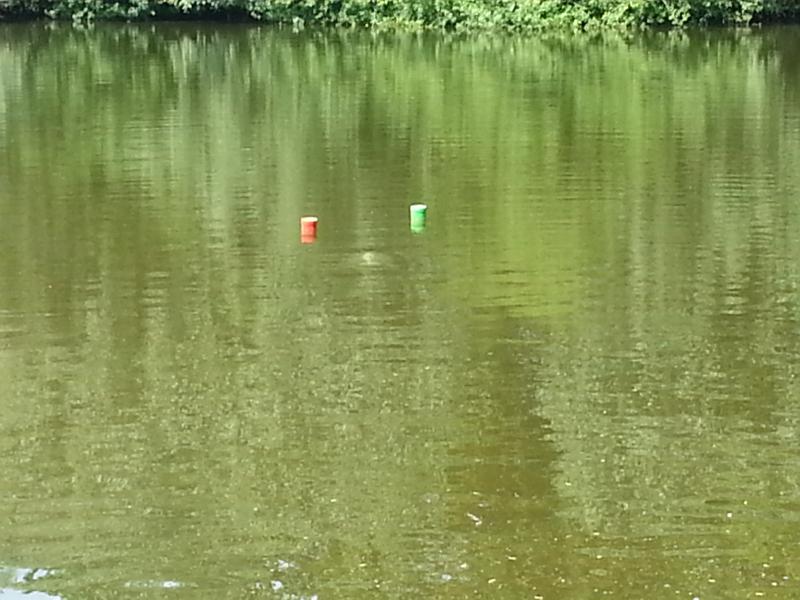 subsail14 dolfijn
