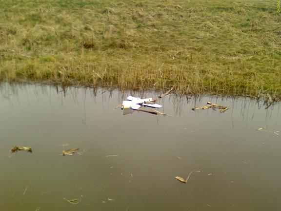 Water 2