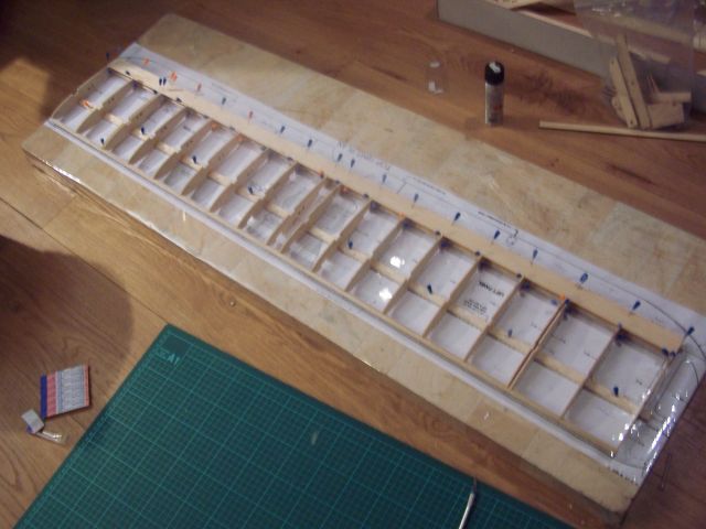 wing1
