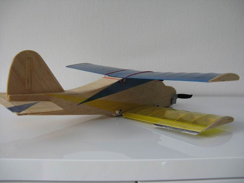 Zaunkonig B