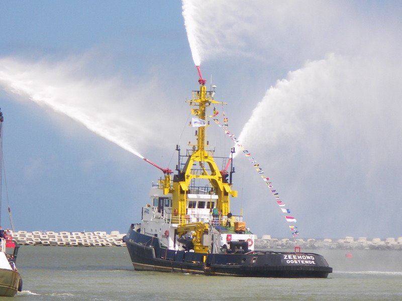 Zeehondb_zps46acf535